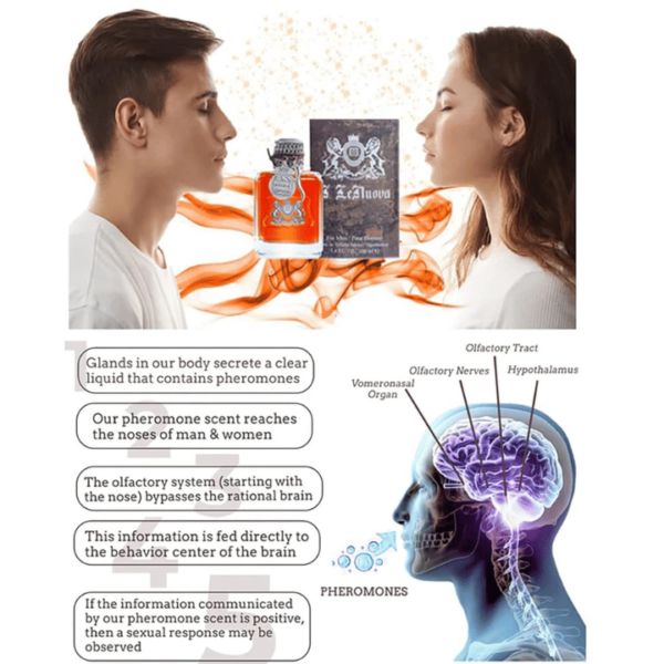 JADOURE Alpha Men Pheromone Perfume, Pheromone Cologne for Men, Attract Women Perfume - Image 3